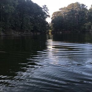 Meet your Posher, Dakota